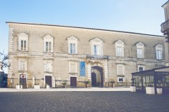 Palazzo D'Avalos esterno